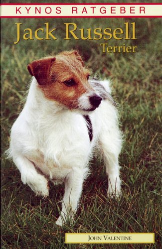 Jack Russell Terrier Pets