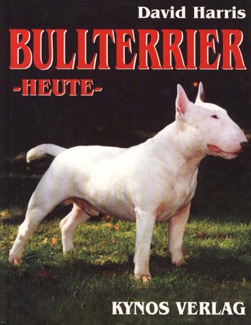 Bull Terrier - heute Pets