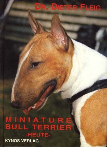 Product Image: Miniature Bull Terrier - heute