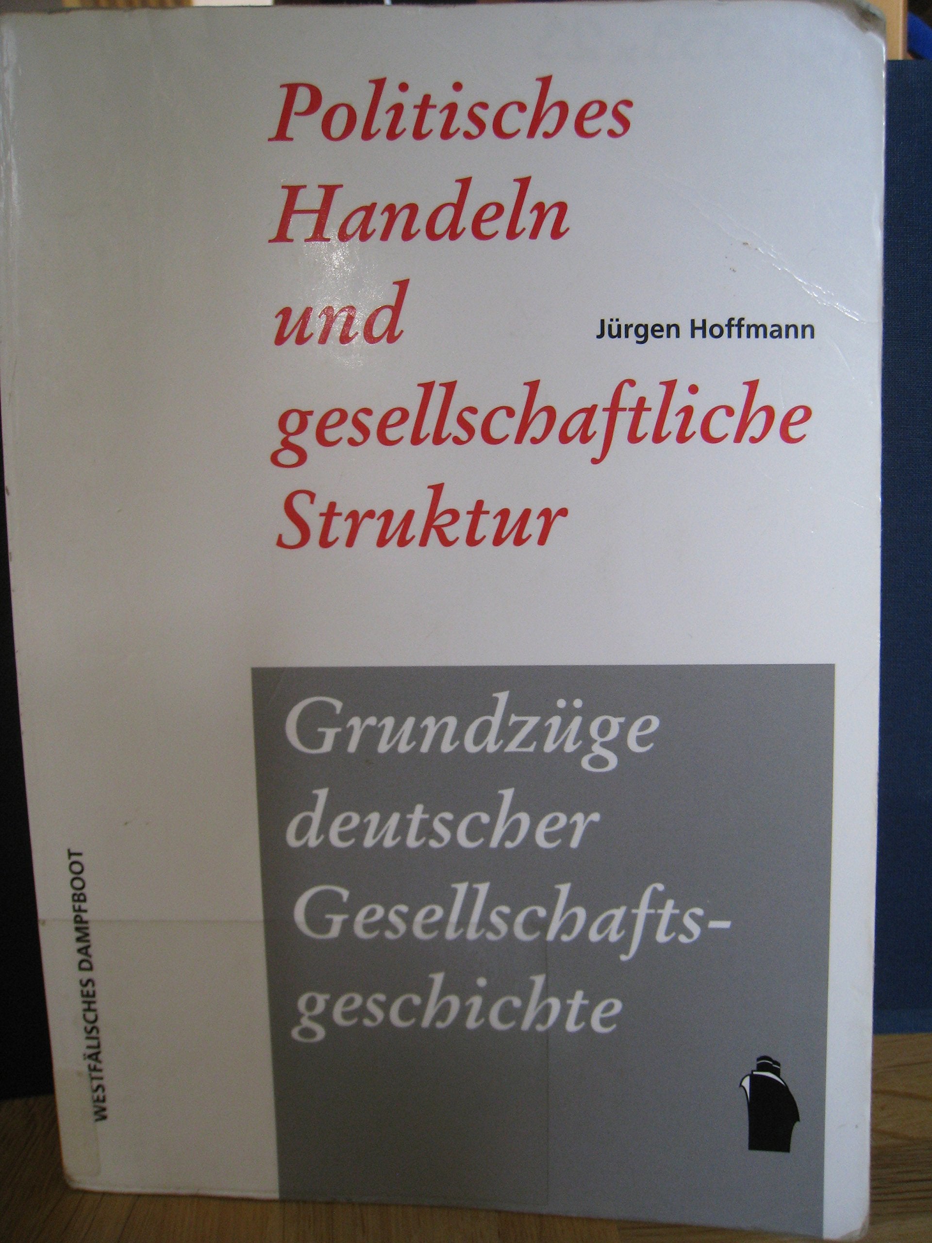 Politisches Handeln und gesellschaftliche Struktur. Politische Soziologie der europäischen und der Law