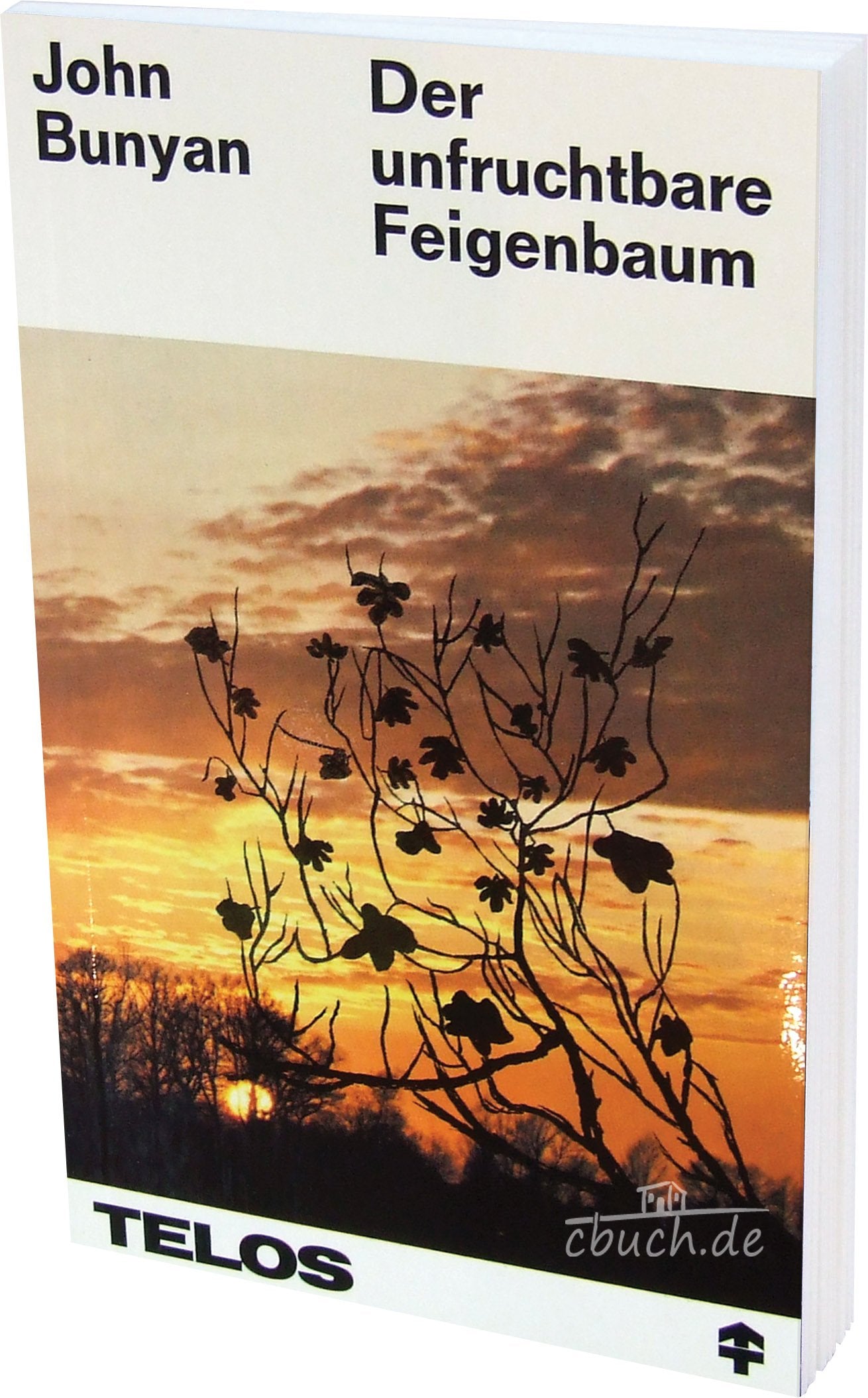 Der unfruchtbare Feigenbaum: Auslegung des Gleichnisses aus dem Lukas-Evangelium Contemporary literature