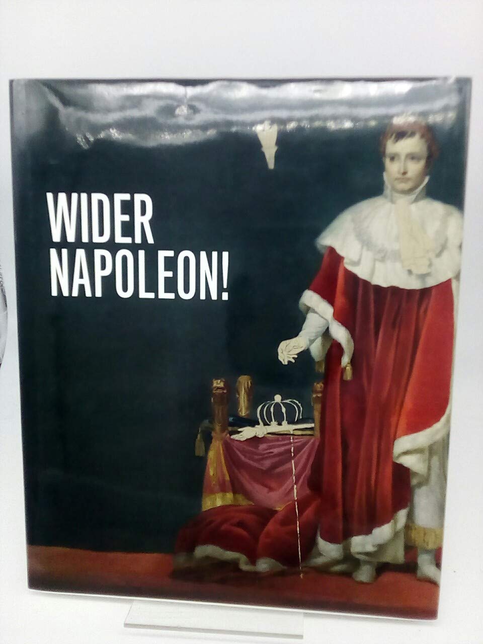 Wider Napoleon!: Die Geburtsstunde von Demokratie, Emanzipationsbewegungen und nationaler Bewegung im Territorium der Grafschaft Mark (1806-1815). ... Geschichte Preussens im südlichen Westfalen) Politics & History