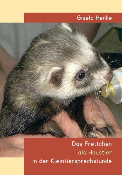 Das Frettchen als Haustier in der Kleintiersprechstunde Pets