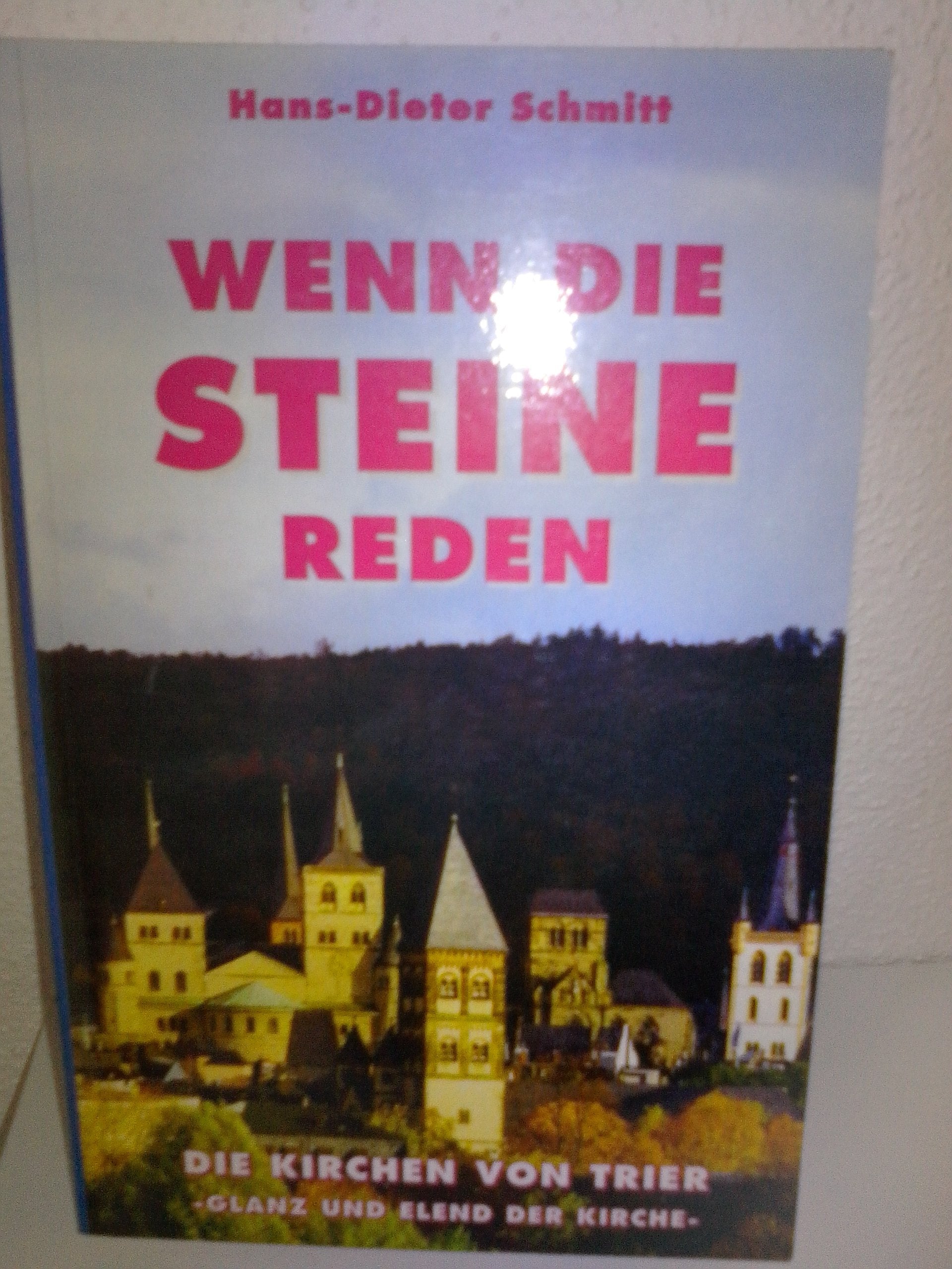 Wenn die Steine reden: Die Kirchen von Trier - Glanz und Elend der Kirche Books