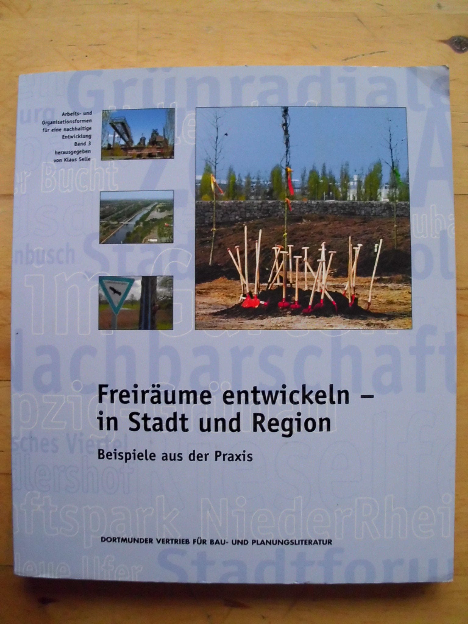 Freiräume entwickeln - in Stadt und Region: Beispiele aus der Praxis Books