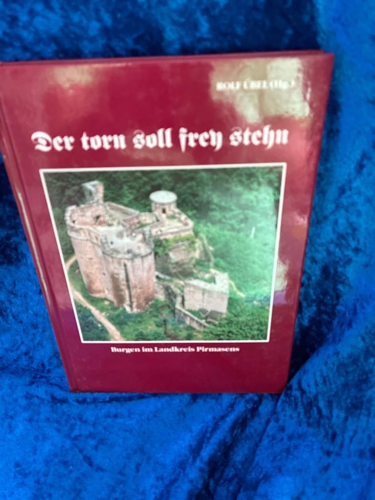 Der torn soll freh stehn. Burgen im Landkreis Pirmasens Books