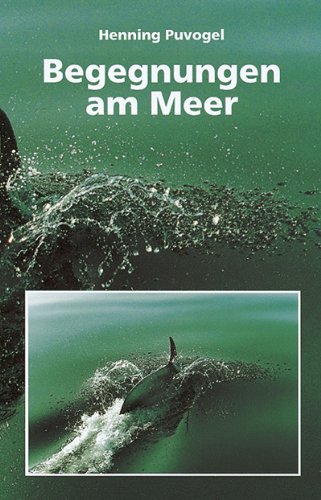 Begegnungen am Meer: 7 Salzwassergeschichten Fiction