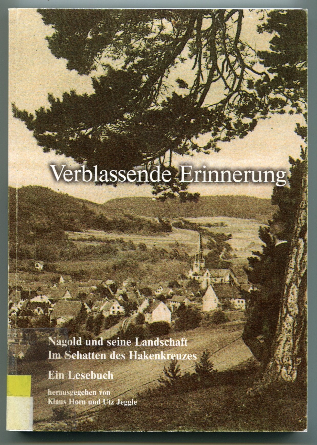 Verblassende Erinnerung: Nagold und seine Landschaft. Im Schatten des Hakenkreuzes. Ein Heimatbuch Politics & History