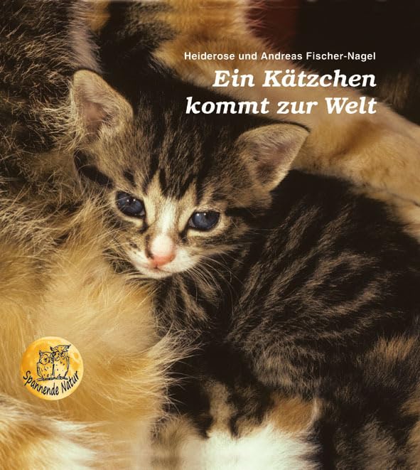 Ein Kätzchen kommt zur Welt Non-fiction