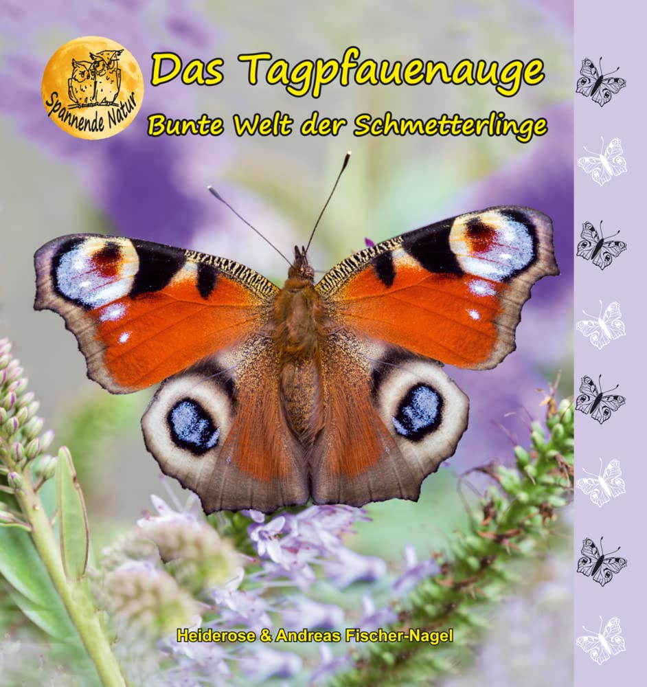Bunte Welt der Schmetterlinge Non-fiction