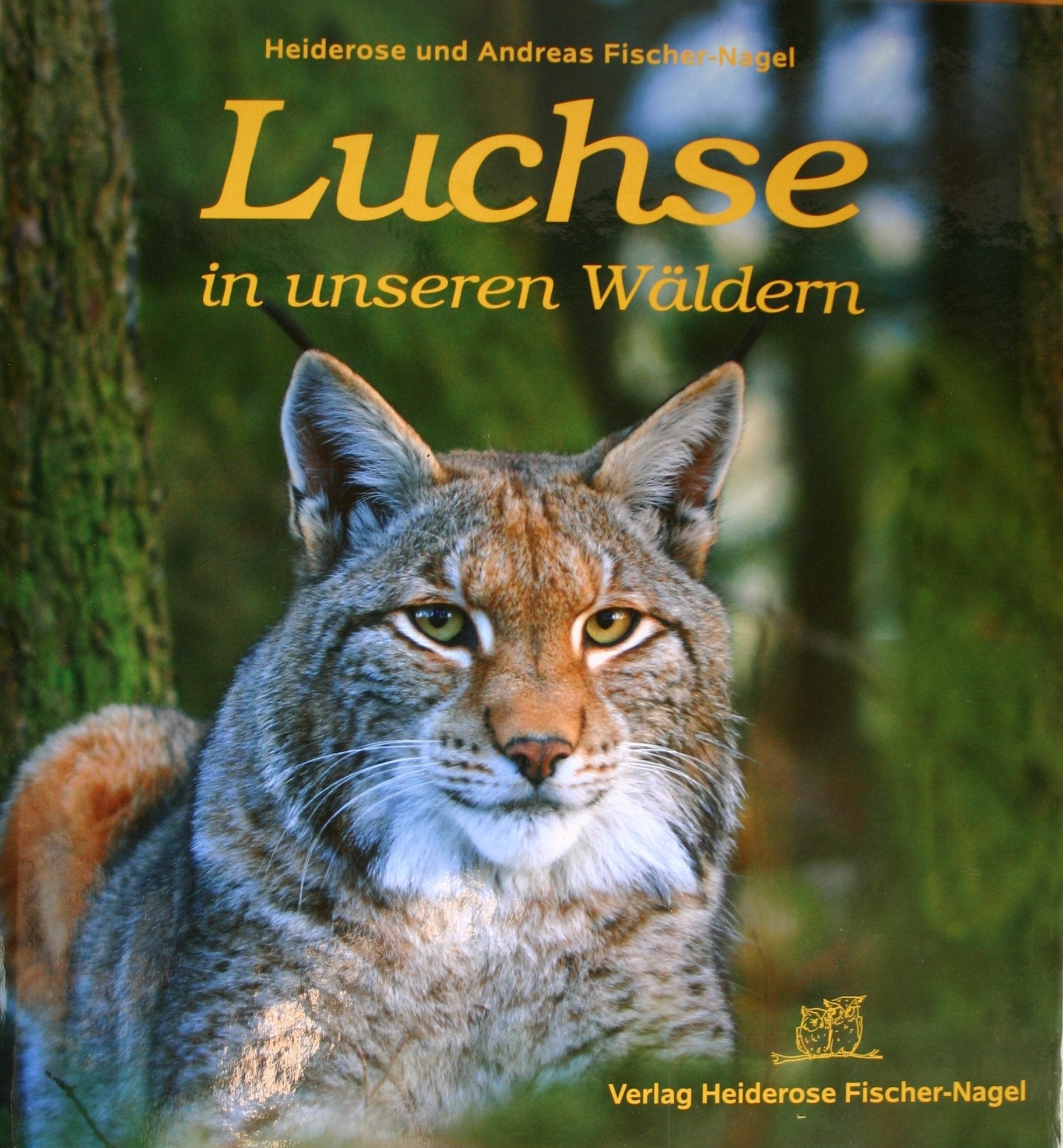Luchse in unseren Wäldern Non-fiction