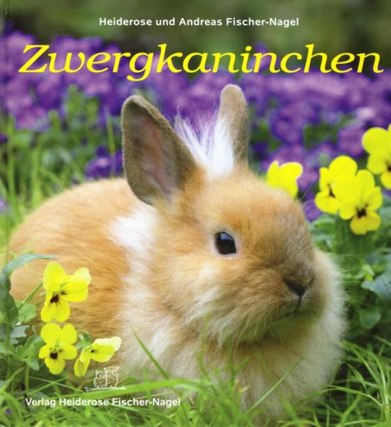 Zwergkaninchen Non-fiction