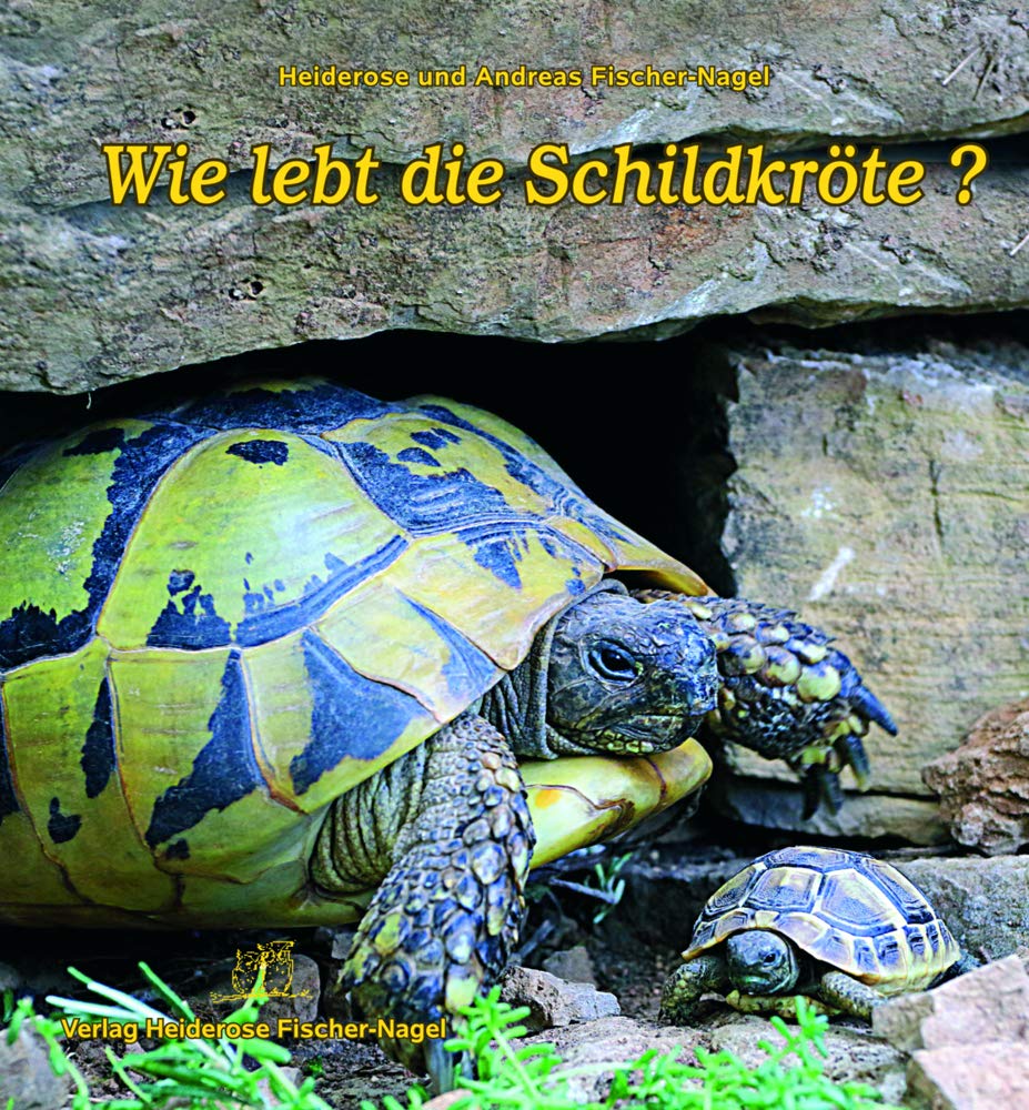 Wie lebt die Schildkröte? Non-fiction