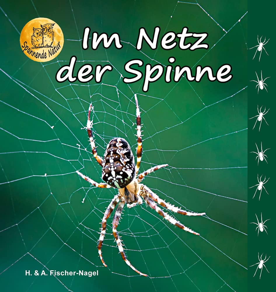 Product Image: Im Netz der Spinne