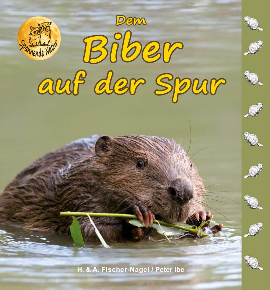 Dem Biber auf der Spur: Bilderbuch (Spannende Natur) Business & Technology