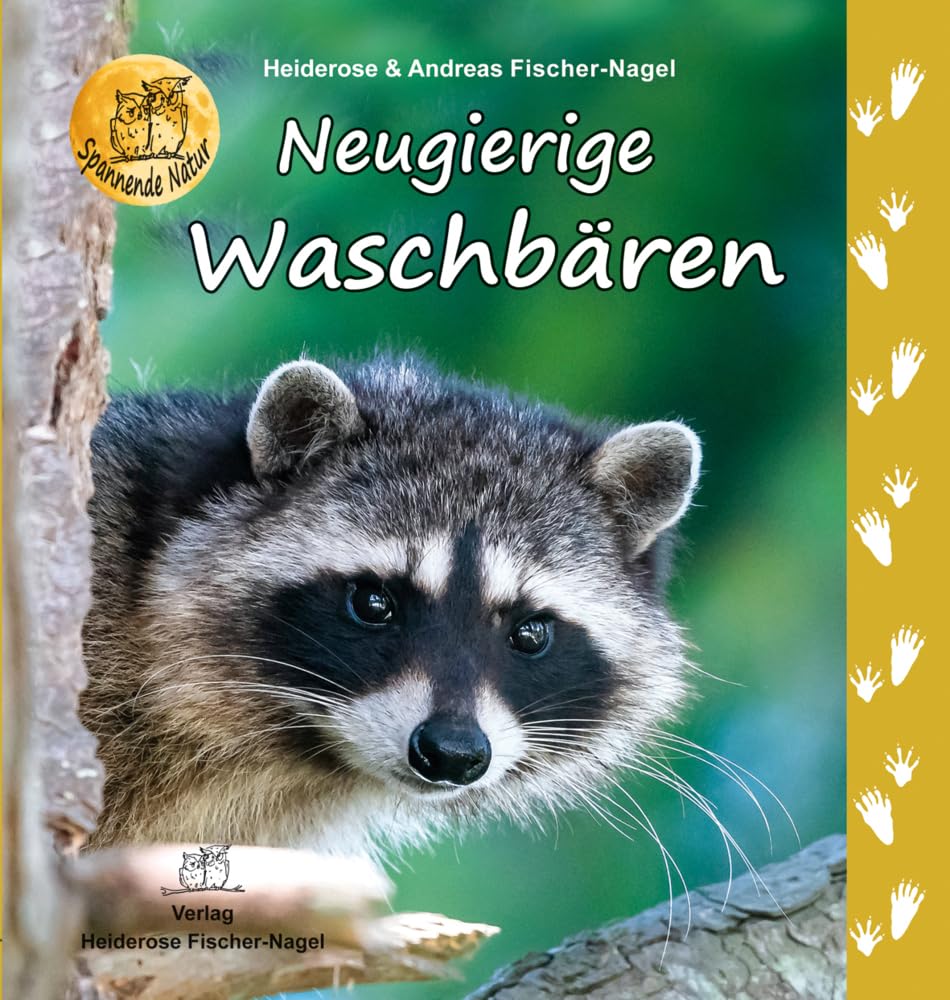 Neugierige Waschbären Business & Technology