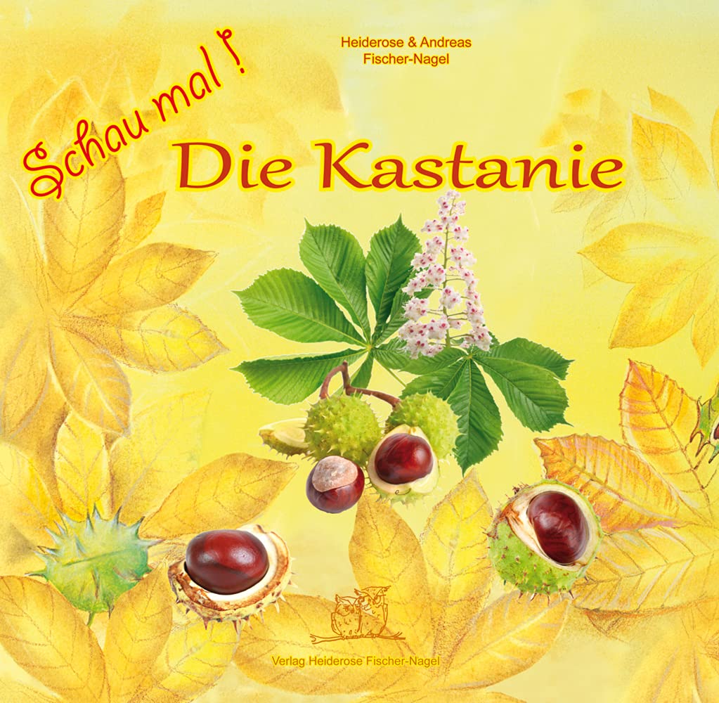 Schau mal Die Kastanie Business & Technology