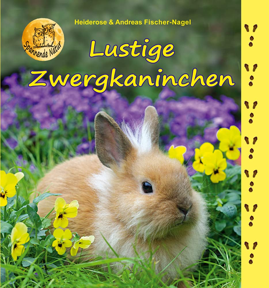 Lustige Zwergkaninchen Business & Technology