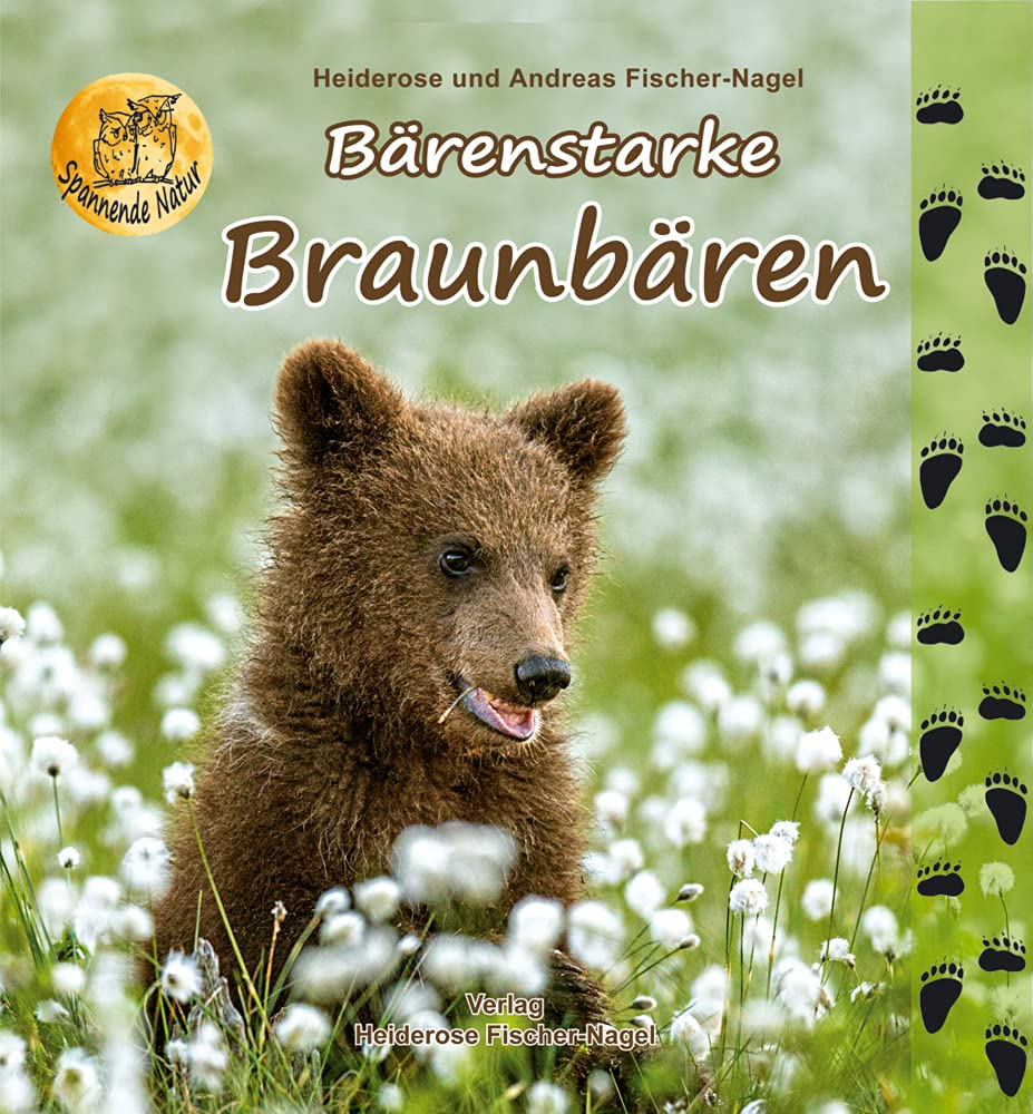 Bärenstarke Braunbären Business & Technology