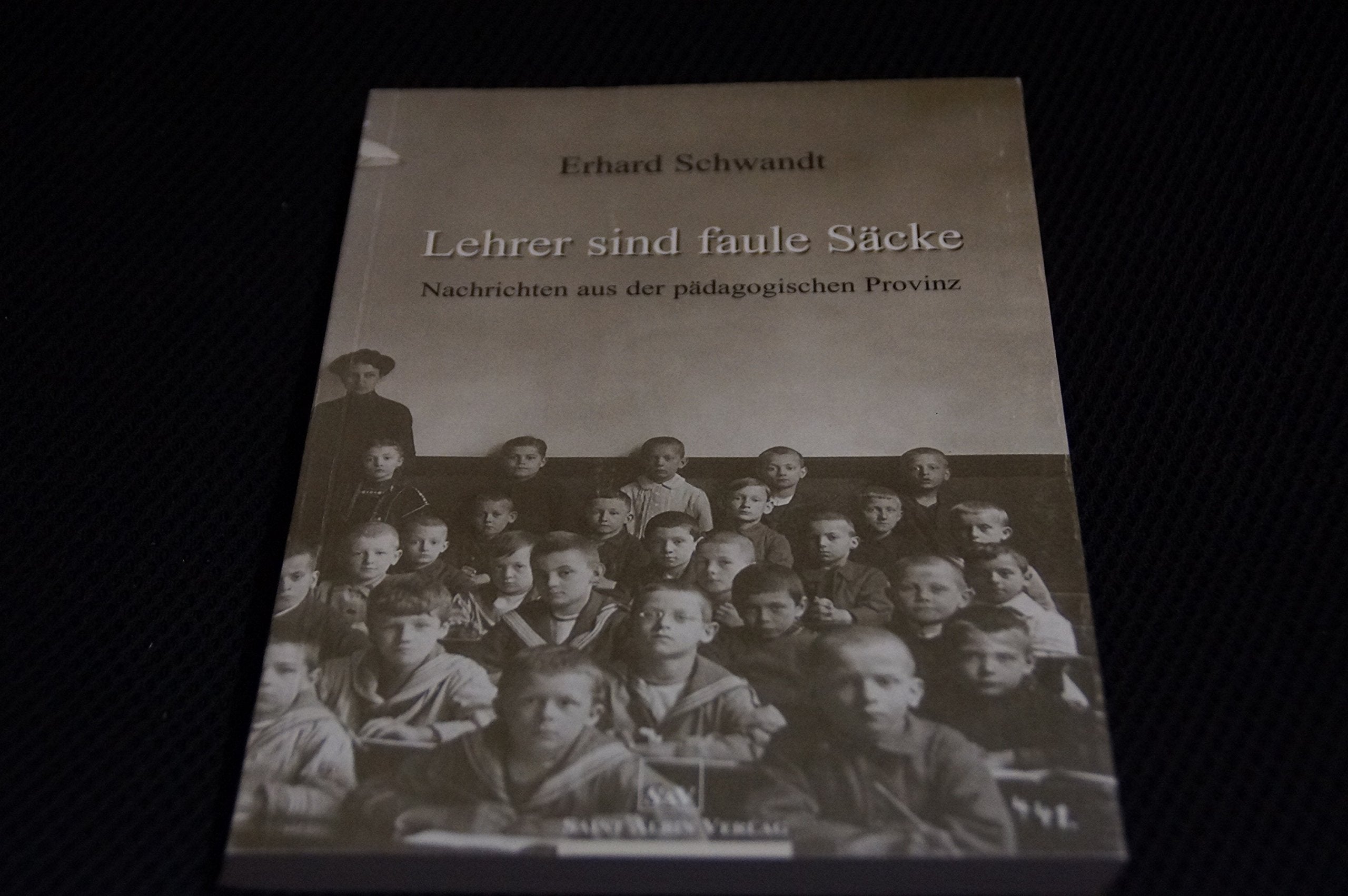 Lehrer sind faule Säcke. Nachrichten aus der pädagogischen Provinz Books