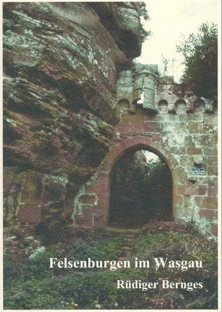Felsenburgen im Wasgau: Untersuchungen eines speziellen Burgentyps im Südlichen Pfälzer Wald und in den Nordvogesen Architecture