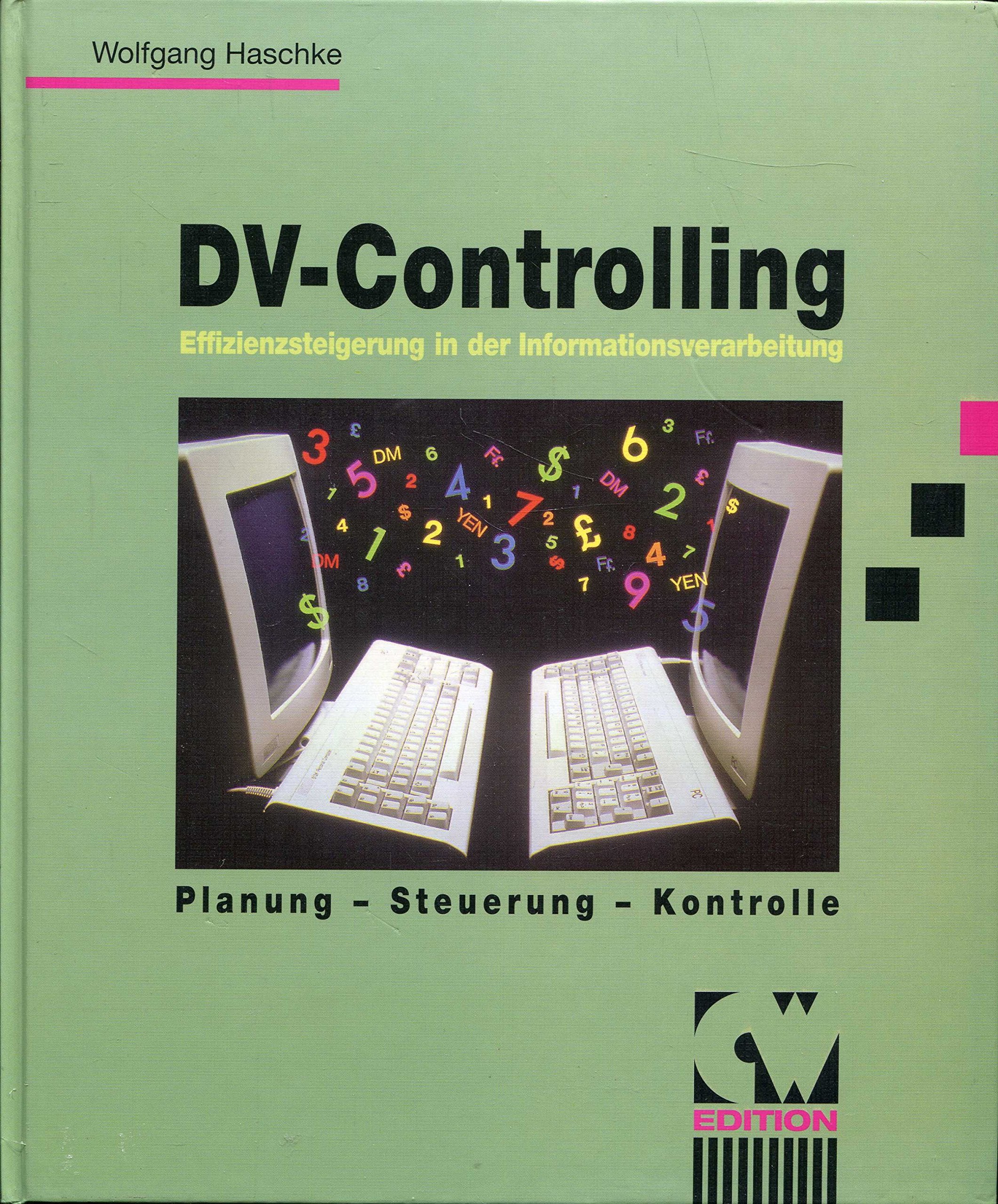 DV-Controlling: Effizienzsteigerung der Informationsverarbeitung (CW Edition) Business, Finance & Career
