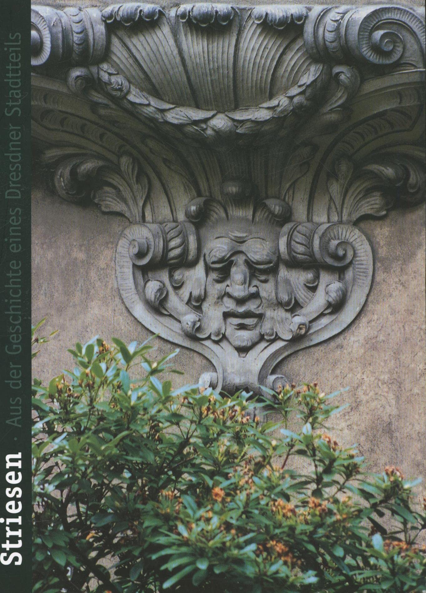 Striesen (Aus der Geschichte eines Dresdner Stadtteils) Books