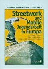 Streetwork und mobile Jugendarbeit in Europa. Europäische Streetwork- Explorationsstudie Social Sciences