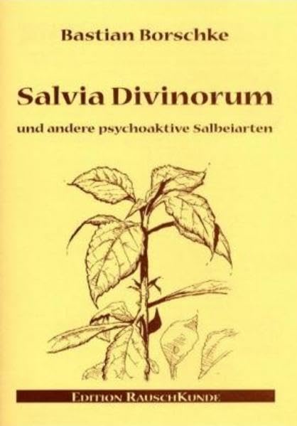 Salvia Divinorum (Edition Rauschkunde) Medicine
