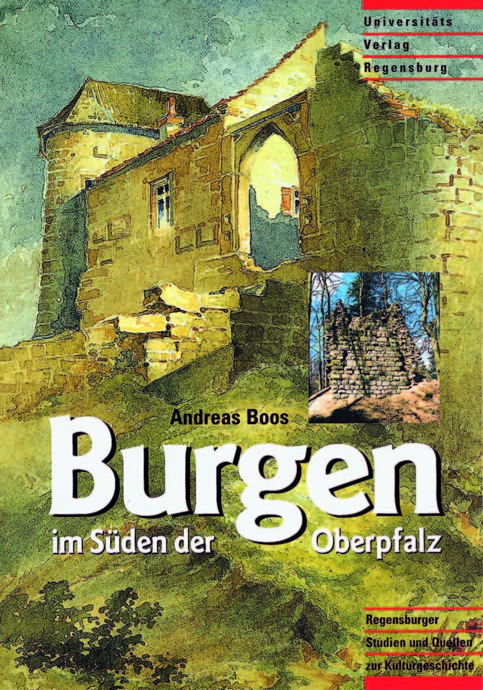 Burgen im Süden der Oberpfalz: Die früh- und hochmittelalterlichen Befestigungsanlagen des Regensburger Umlandes (Regensburger Studien und Quellen zur Kulturgeschichte, Band 5) Architecture