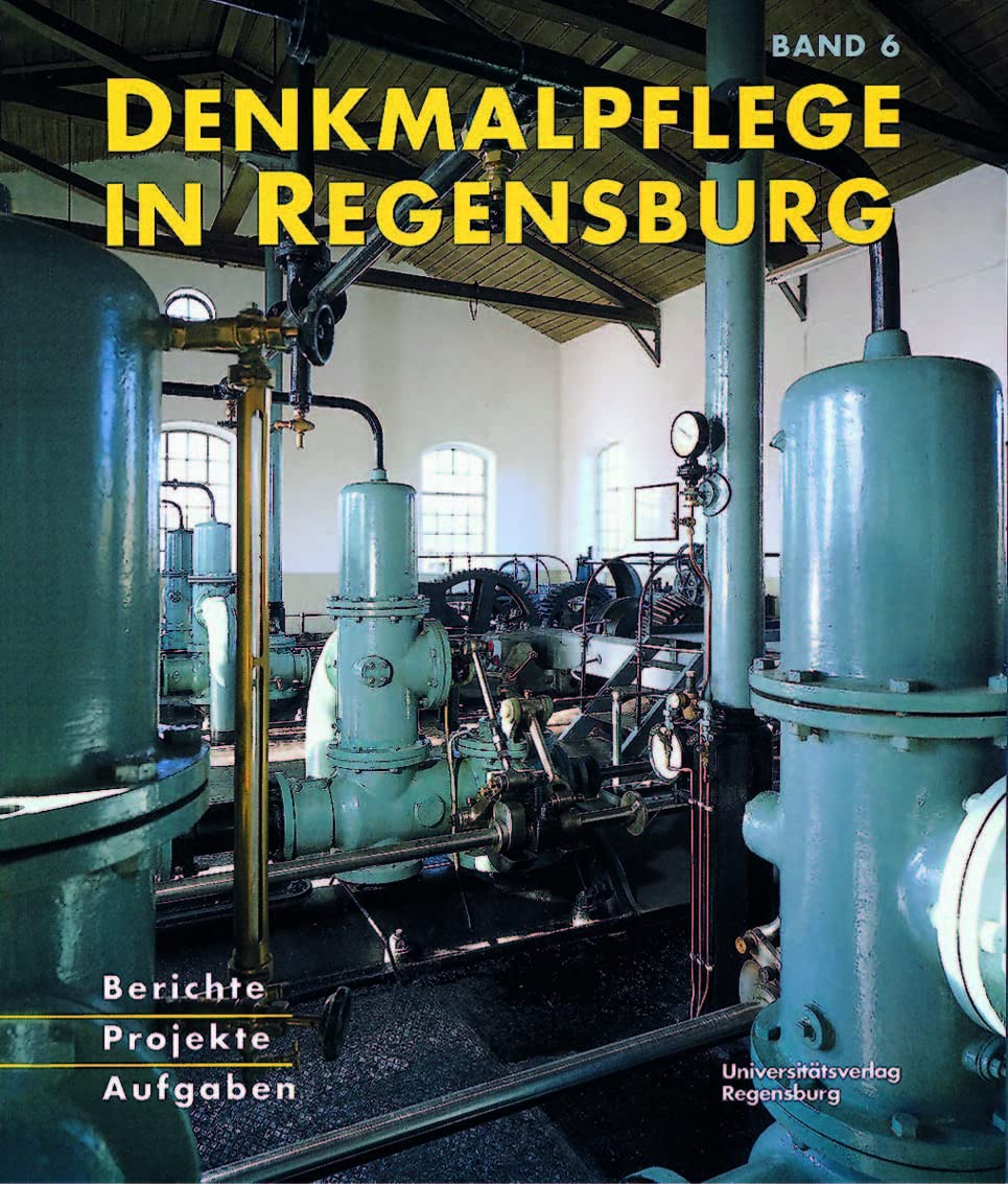 Denkmalpflege in Regensburg, Bd.6, 1995/1996 Architecture