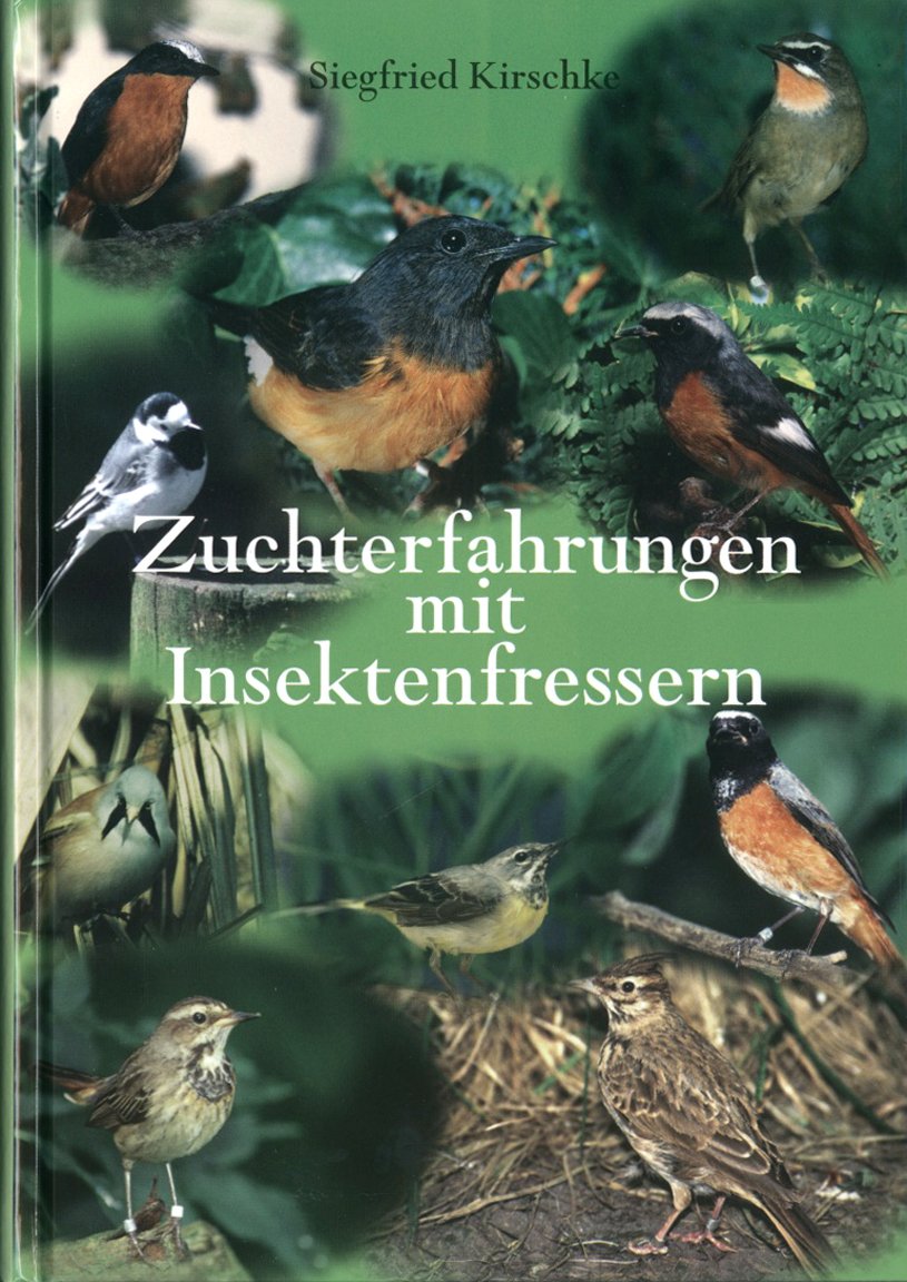 Zuchterfahrungen mit Insektenfressern Leisure, Home & Garden