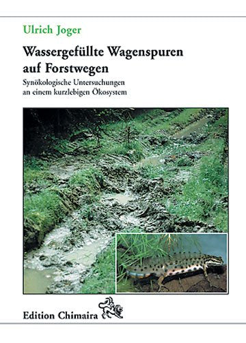 Wassergefüllte Wagenspuren auf Forstwegen Books