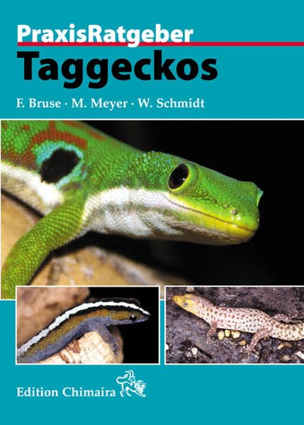 Taggeckos (Praxis Ratgeber) Pets