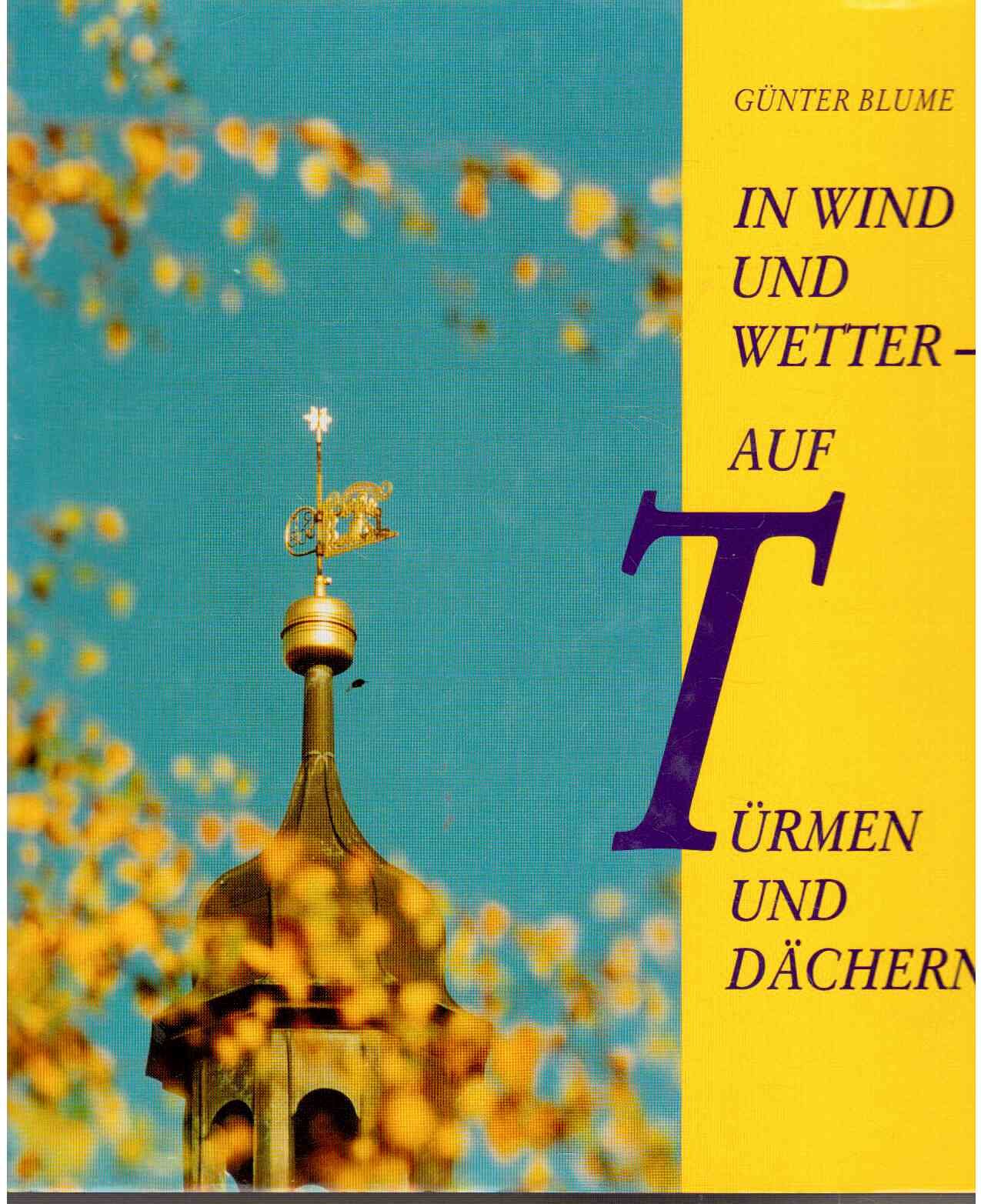 In Wind und Wetter - auf Türmen und Dächern Books