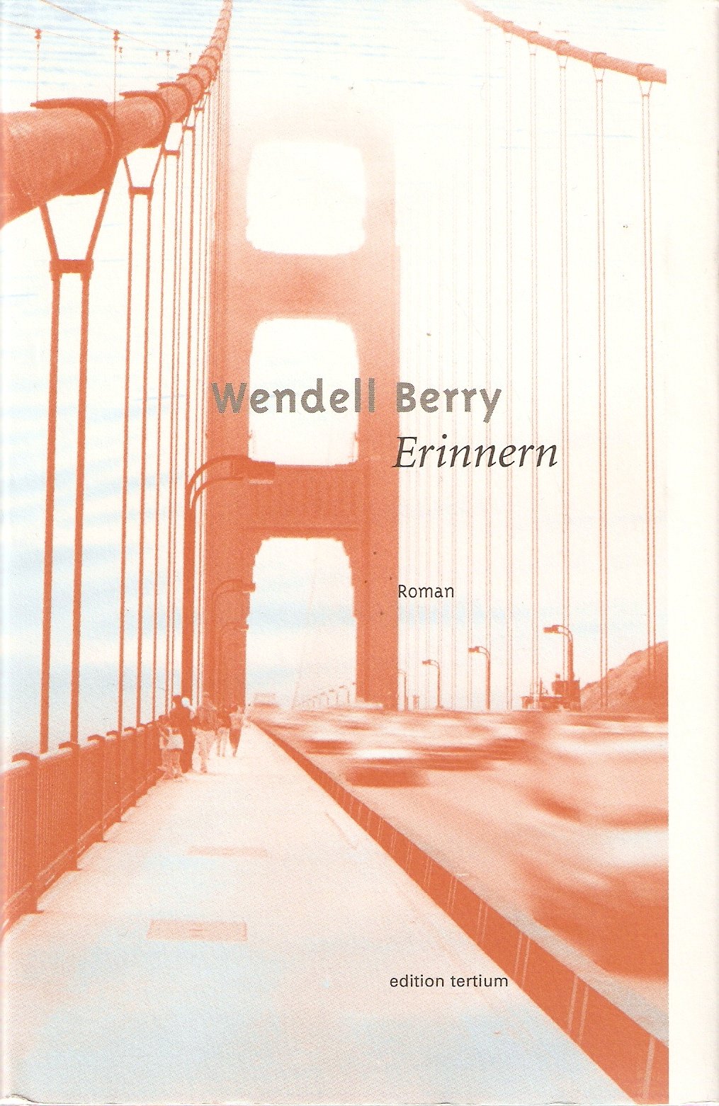 Erinnern, Roman, Aus dem amerikanischen von Taja Gut, book