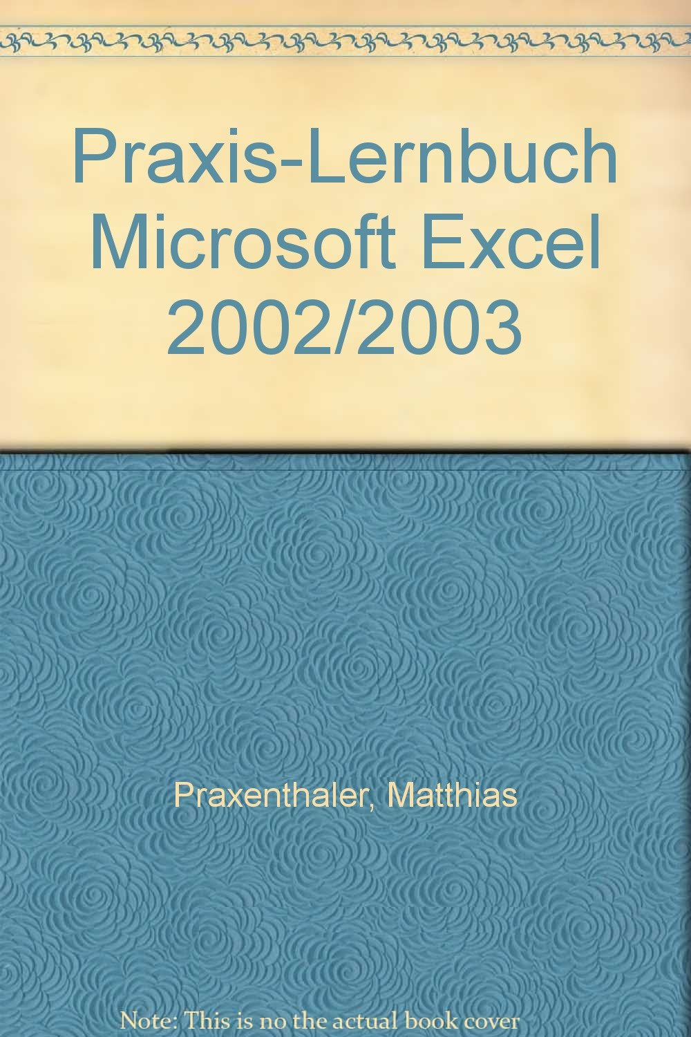 Excel 2002/2003 Tipps und Tricks: Praxis-Lernbuch (media bookline) Computer Science