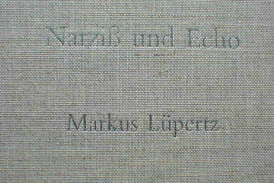 Narziß und Echo: Texte Reden Gedichte Contemporary literature