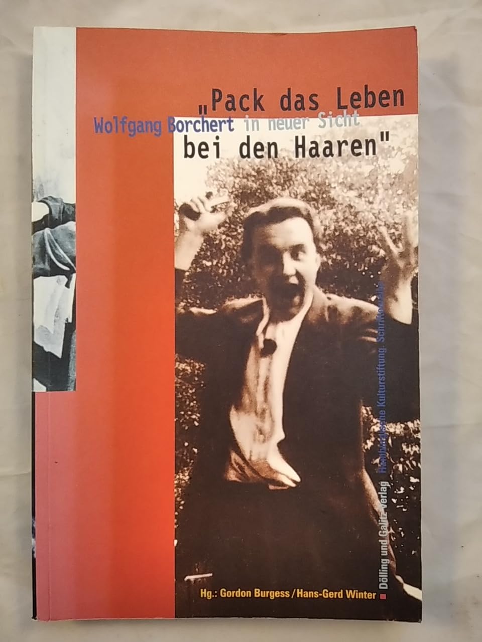 ' Pack das Leben bei den Haaren'. Wolfgang Borchert in neuer Sicht Professional & Reference Books