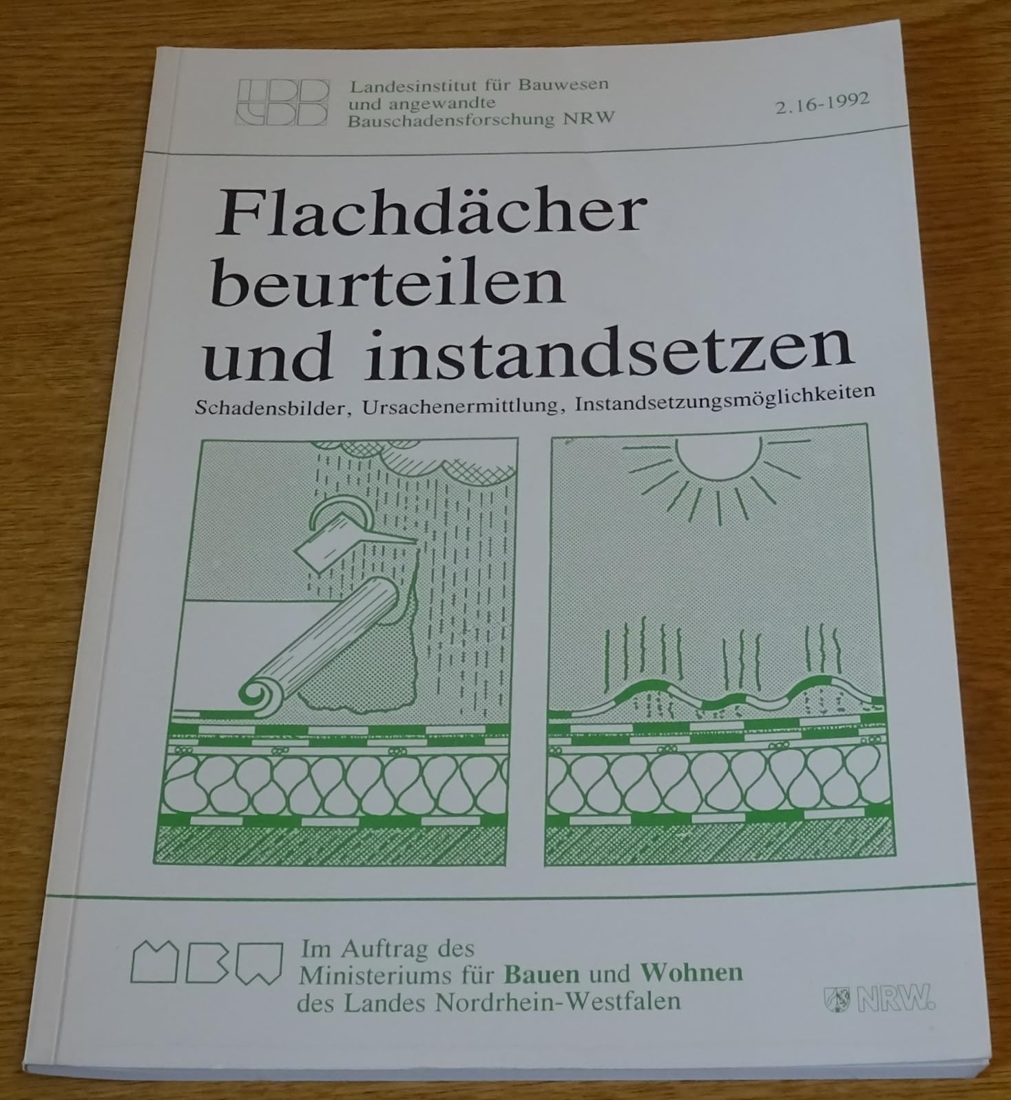 Flachdächer beurteilen und instandsetzen: Schadensbilder, Ursachenermittlung, Instandsetzungsmöglichkeiten Books