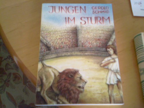 Product Image: Jungen im Sturm