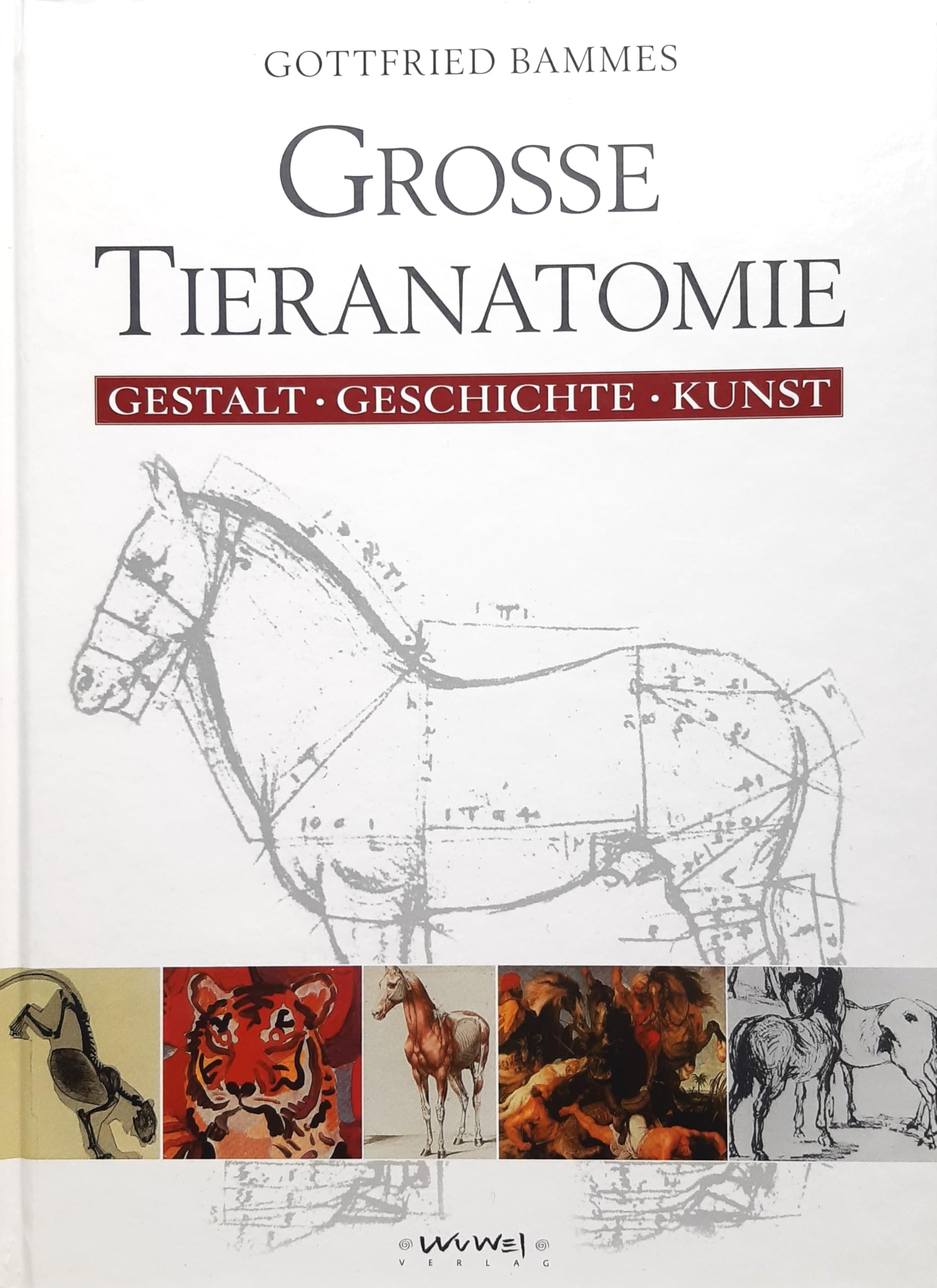 Große Tieranatomie: Gestalt, Geschichte, Kunst. Vorw. v. Gerd Heuschmann Medicine