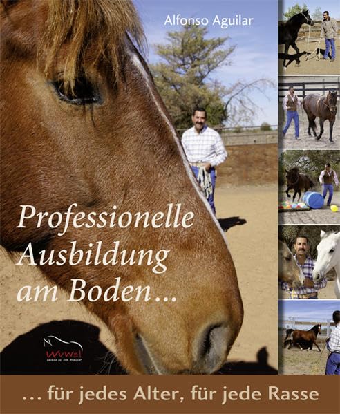 Professionelle Ausbildung am Boden Pets