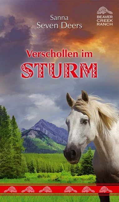 Product Image: Verschollen im Sturm