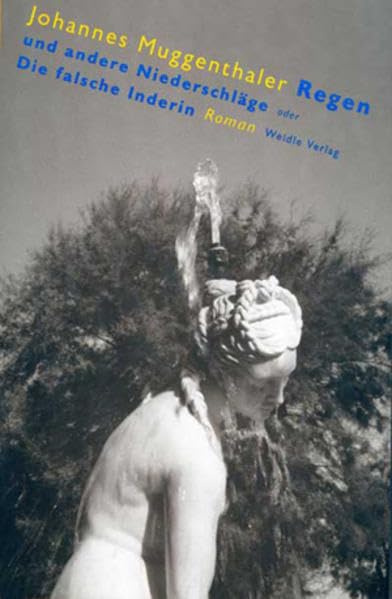 Regen und andere Niederschläge oder Die falsche Inderin: Roman Contemporary literature