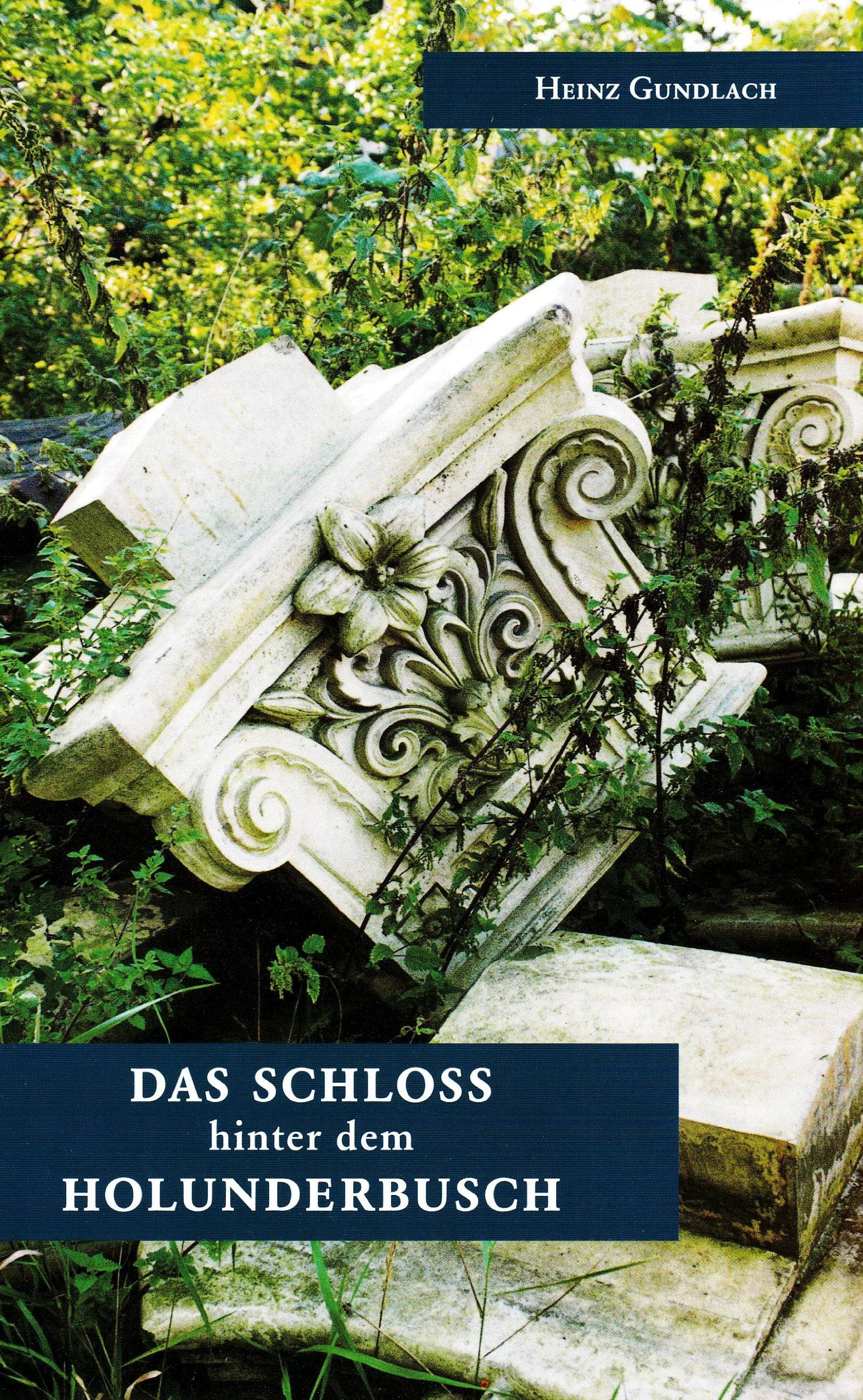 Das Schloss hinter dem Holunderbusch: Eine Collage Books