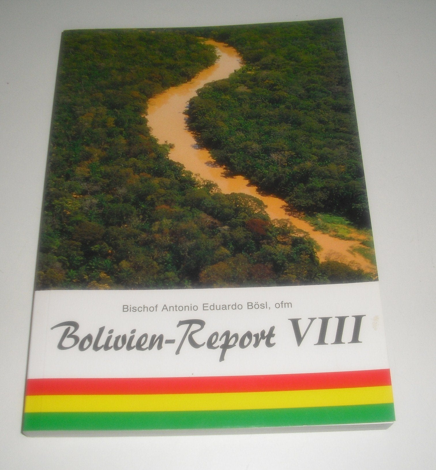 Bolivien-Report VIII, Die ersten Jahre einer Umweltpfarrei - Chronik ihrer Gründung, Entwicklung und Tragik Books