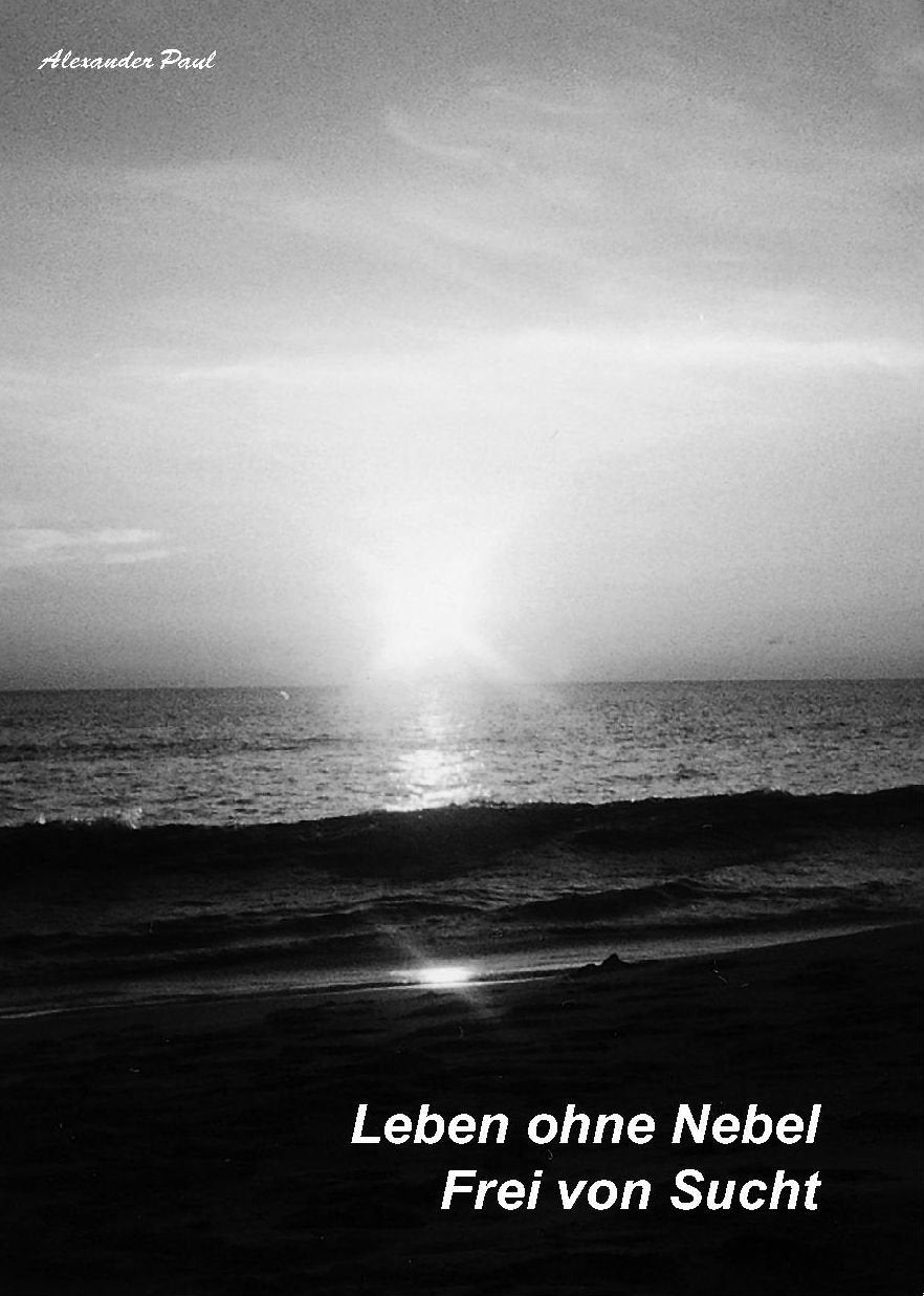 Leben ohne Nebel: Frei von Sucht Contemporary literature