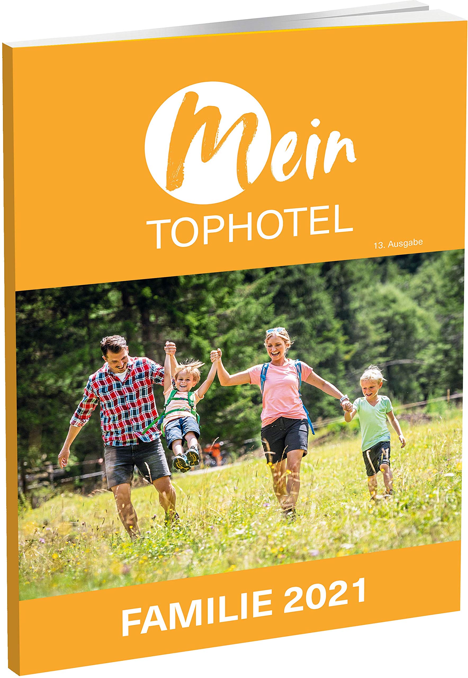 Mein Tophotel Familie 2021: Von Experten empfohlene Familienhotels im deutschsprachigen Raum Books