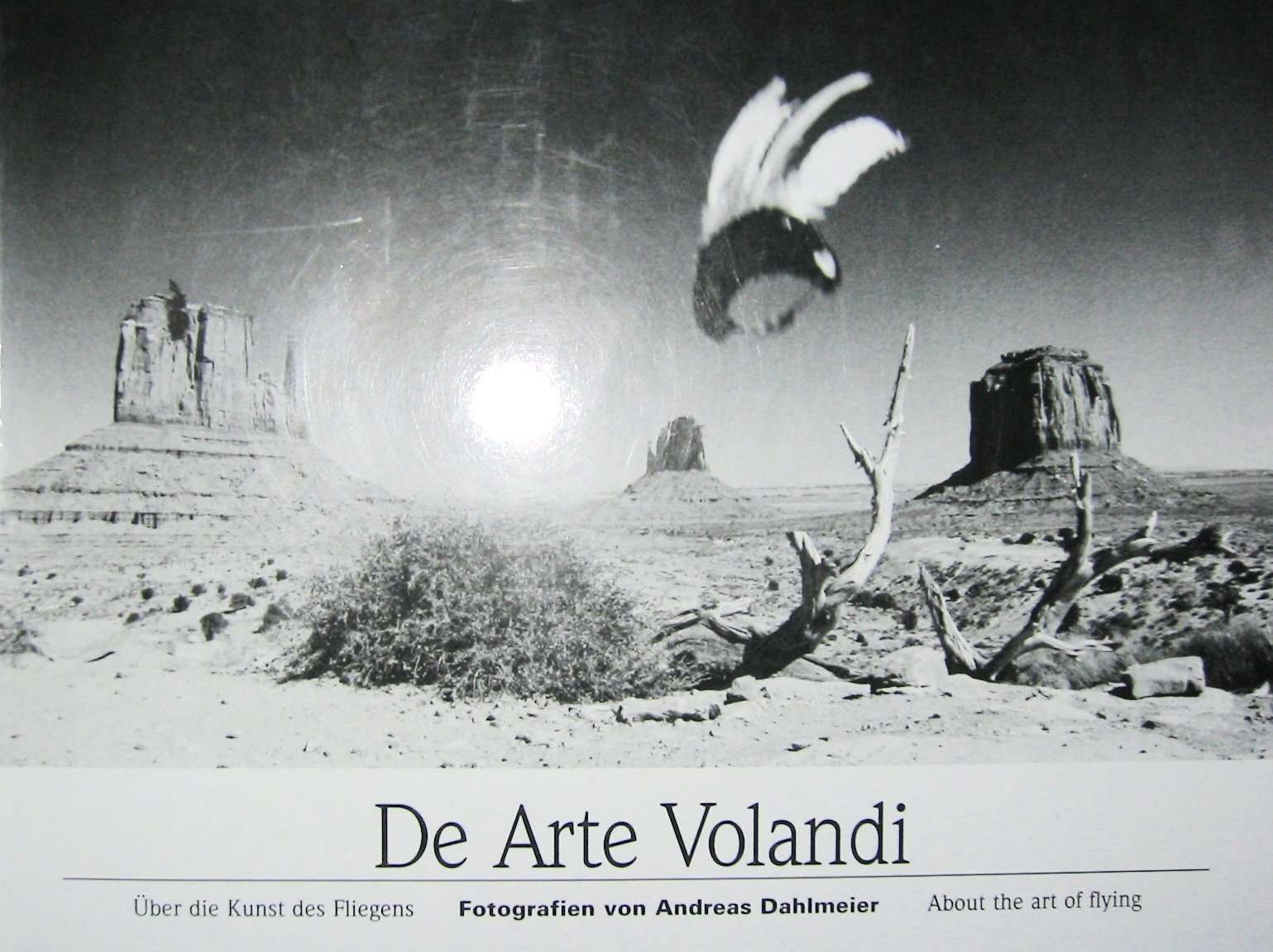 De Arte Volandi. Über die Kunst des Fliegens, About the Art of Flying Books